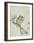 Owl on a Flowering Magnolia Branch-Kubo Shunman-Framed Giclee Print