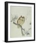 Owl on a Flowering Magnolia Branch-Kubo Shunman-Framed Giclee Print