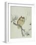 Owl on a Flowering Magnolia Branch-Kubo Shunman-Framed Giclee Print