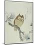 Owl on a Flowering Magnolia Branch-Kubo Shunman-Mounted Giclee Print