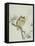 Owl on a Flowering Magnolia Branch-Kubo Shunman-Framed Stretched Canvas