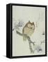 Owl on a Flowering Magnolia Branch-Kubo Shunman-Framed Stretched Canvas