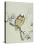 Owl on a Flowering Magnolia Branch-Kubo Shunman-Stretched Canvas