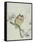 Owl on a Flowering Magnolia Branch-Kubo Shunman-Framed Stretched Canvas