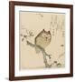 Owl on a Magnolia Branch, c. 1890- 1900-Kubota Shunman, Shunchôtei, Senshunan-Framed Art Print