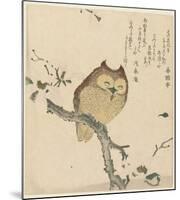 Owl on a Magnolia Branch, c. 1890- 1900-Kubota Shunman, Shunchôtei, Senshunan-Mounted Art Print