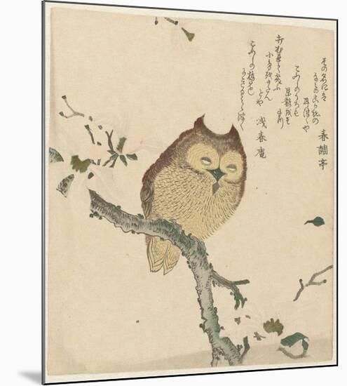 Owl on a Magnolia Branch, c. 1890- 1900-Kubota Shunman, Shunchôtei, Senshunan-Mounted Art Print