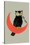 Owl on Crescent Moon-null-Stretched Canvas