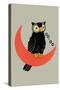 Owl on Crescent Moon-null-Stretched Canvas