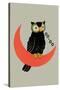 Owl on Crescent Moon-null-Stretched Canvas