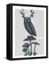 Owl on Mushrooms-Fab Funky-Framed Stretched Canvas