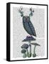 Owl on Mushrooms-Fab Funky-Framed Stretched Canvas