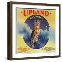 Owl Orange Label - Upland, CA-Lantern Press-Framed Art Print