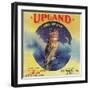 Owl Orange Label - Upland, CA-Lantern Press-Framed Art Print