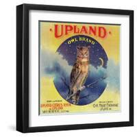 Owl Orange Label - Upland, CA-Lantern Press-Framed Art Print