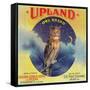 Owl Orange Label - Upland, CA-Lantern Press-Framed Stretched Canvas