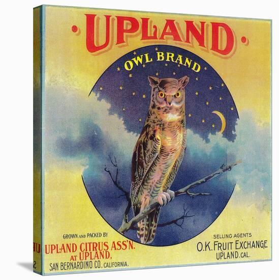 Owl Orange Label - Upland, CA-Lantern Press-Stretched Canvas