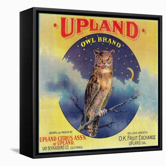 Owl Orange Label - Upland, CA-Lantern Press-Framed Stretched Canvas