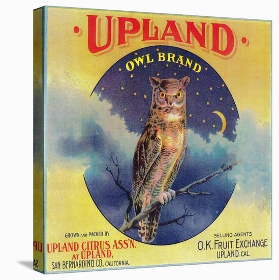 Owl Orange Label - Upland, CA-Lantern Press-Stretched Canvas