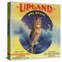 Owl Orange Label - Upland, CA-Lantern Press-Stretched Canvas