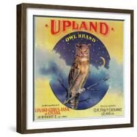 Owl Orange Label - Upland, CA-Lantern Press-Framed Premium Giclee Print