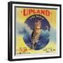Owl Orange Label - Upland, CA-Lantern Press-Framed Premium Giclee Print