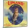 Owl Orange Label - Upland, CA-Lantern Press-Mounted Premium Giclee Print