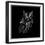 Owl Polygon-Lisa Kroll-Framed Art Print