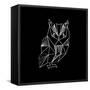 Owl Polygon-Lisa Kroll-Framed Stretched Canvas