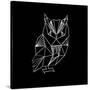 Owl Polygon-Lisa Kroll-Stretched Canvas