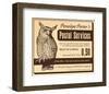 Owl Postal Service-null-Framed Art Print