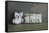 Owl Quilled Boy-null-Framed Stretched Canvas