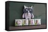 Owl Quilled Girl-null-Framed Stretched Canvas