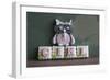 Owl Quilled Girl-null-Framed Photographic Print