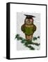 Owl Reading on Branch-Fab Funky-Framed Stretched Canvas