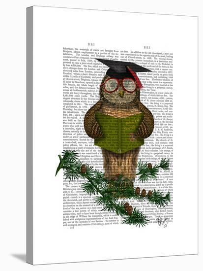 Owl Reading on Branch-Fab Funky-Stretched Canvas