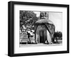 Owl-Shaped Ice Cream Stand-null-Framed Photographic Print