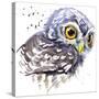 Owl T-Shirt Graphics, Snowy Owl Illustration with Splash Watercolor Textured Background. Illustrati-Faenkova Elena-Stretched Canvas