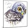 Owl T-Shirt Graphics, Snowy Owl Illustration with Splash Watercolor Textured Background. Illustrati-Faenkova Elena-Mounted Premium Giclee Print