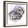 Owl T-Shirt Graphics, Snowy Owl Illustration with Splash Watercolor Textured Background. Illustrati-Faenkova Elena-Framed Art Print