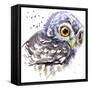 Owl T-Shirt Graphics, Snowy Owl Illustration with Splash Watercolor Textured Background. Illustrati-Faenkova Elena-Framed Stretched Canvas