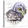 Owl T-Shirt Graphics, Snowy Owl Illustration with Splash Watercolor Textured Background. Illustrati-Faenkova Elena-Stretched Canvas