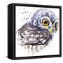 Owl T-Shirt Graphics, Snowy Owl Illustration with Splash Watercolor Textured Background. Illustrati-Faenkova Elena-Framed Stretched Canvas