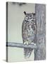 Owl Two-Rusty Frentner-Stretched Canvas