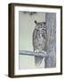 Owl Two-Rusty Frentner-Framed Giclee Print