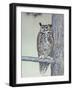 Owl Two-Rusty Frentner-Framed Giclee Print