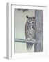 Owl Two-Rusty Frentner-Framed Giclee Print