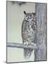 Owl Two-Rusty Frentner-Mounted Giclee Print