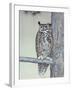 Owl Two-Rusty Frentner-Framed Giclee Print