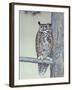 Owl Two-Rusty Frentner-Framed Giclee Print